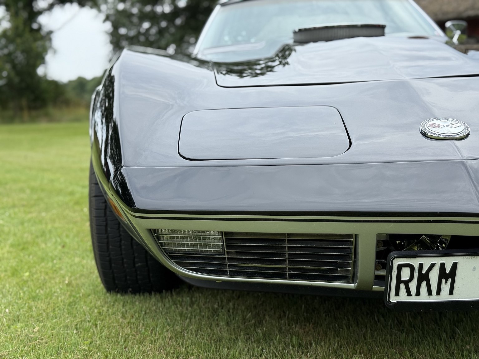 Exterior image of 1973 Chevrolet Corvette Stingray