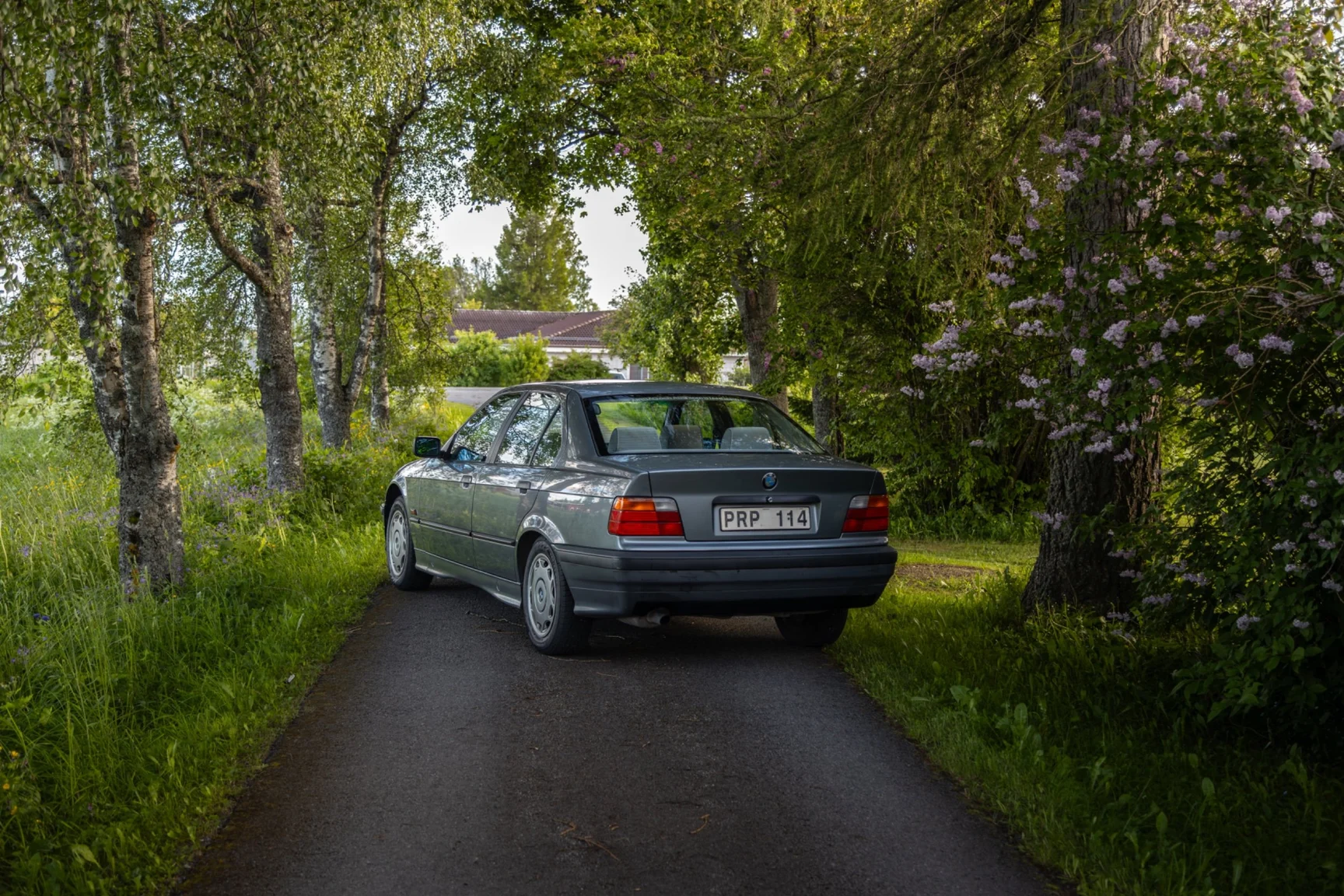 Exterior image of 1994 BMW 318i - NO RESERVE (6)