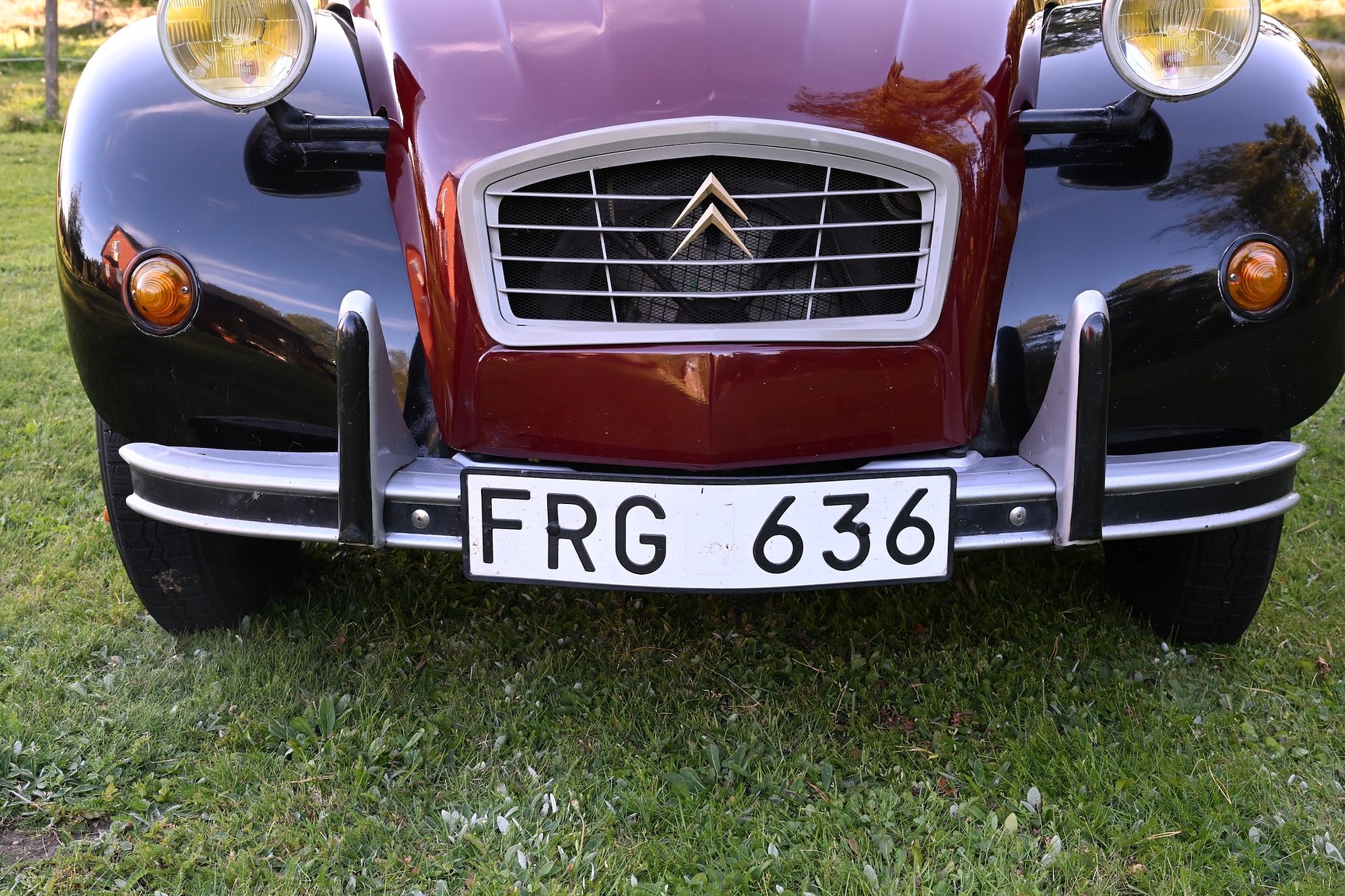 Exterior image of 1981 Citroën 2CV Charleston