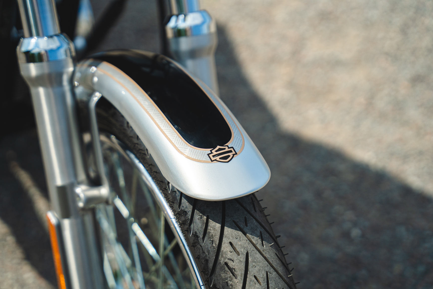 Exterior image of 2003 Harley Davidson Sportster 1200 100th Anniversary (23)