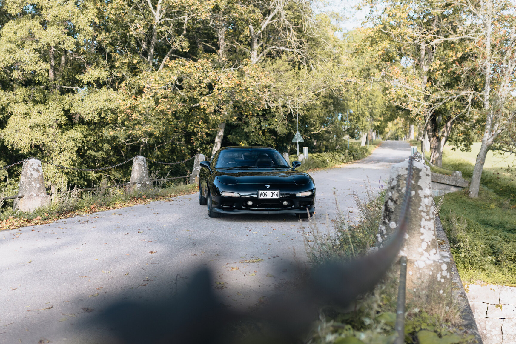 Exterior image of 1994 Mazda RX7 (11)