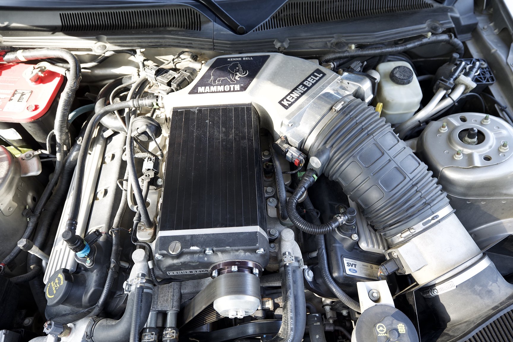 Image of 2008 Ford Mustang Shelby GT500 Convertible Manuell mechanics