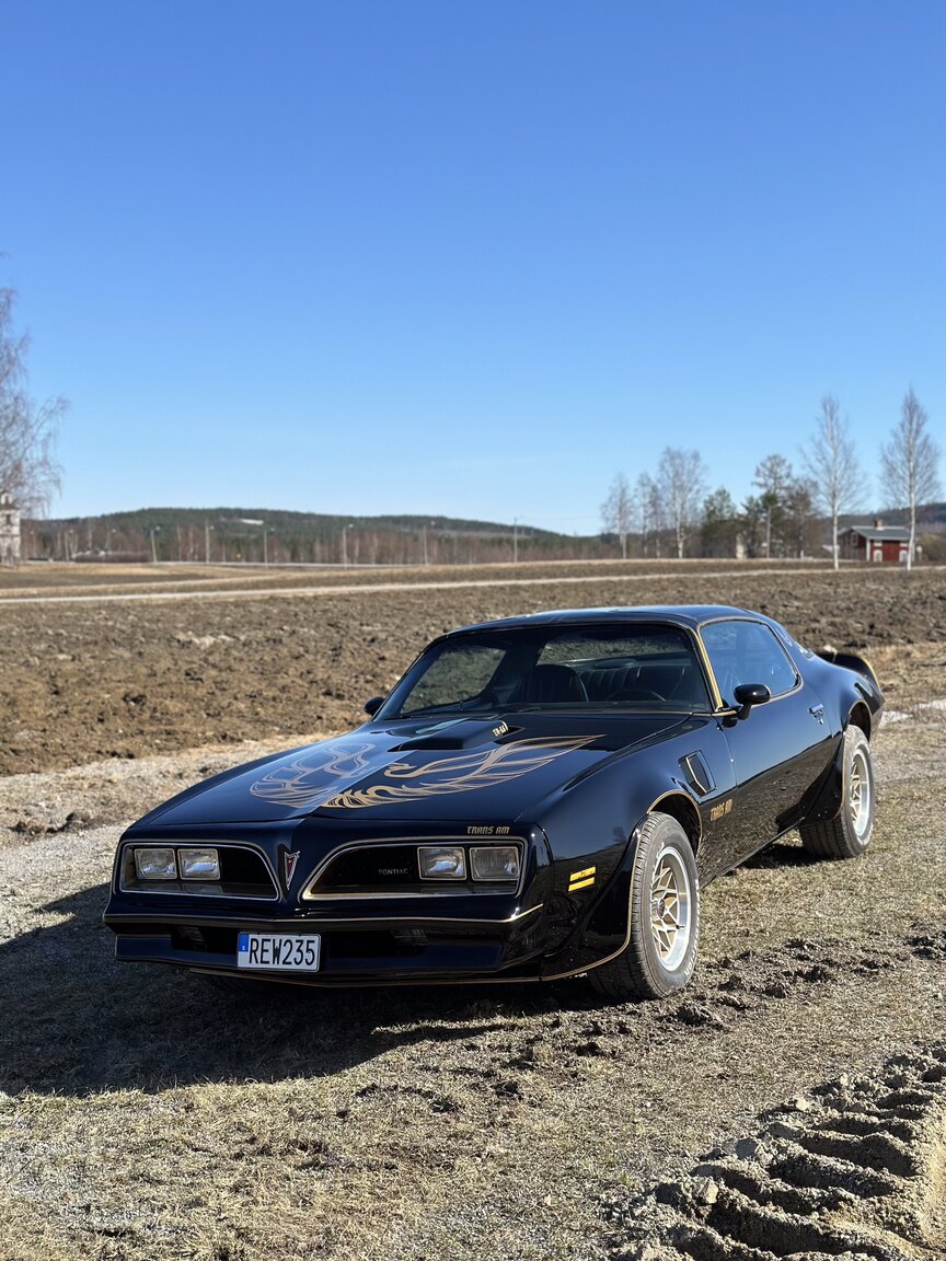 Exterior image of 1978 Pontiac Trans Am Bandit 400