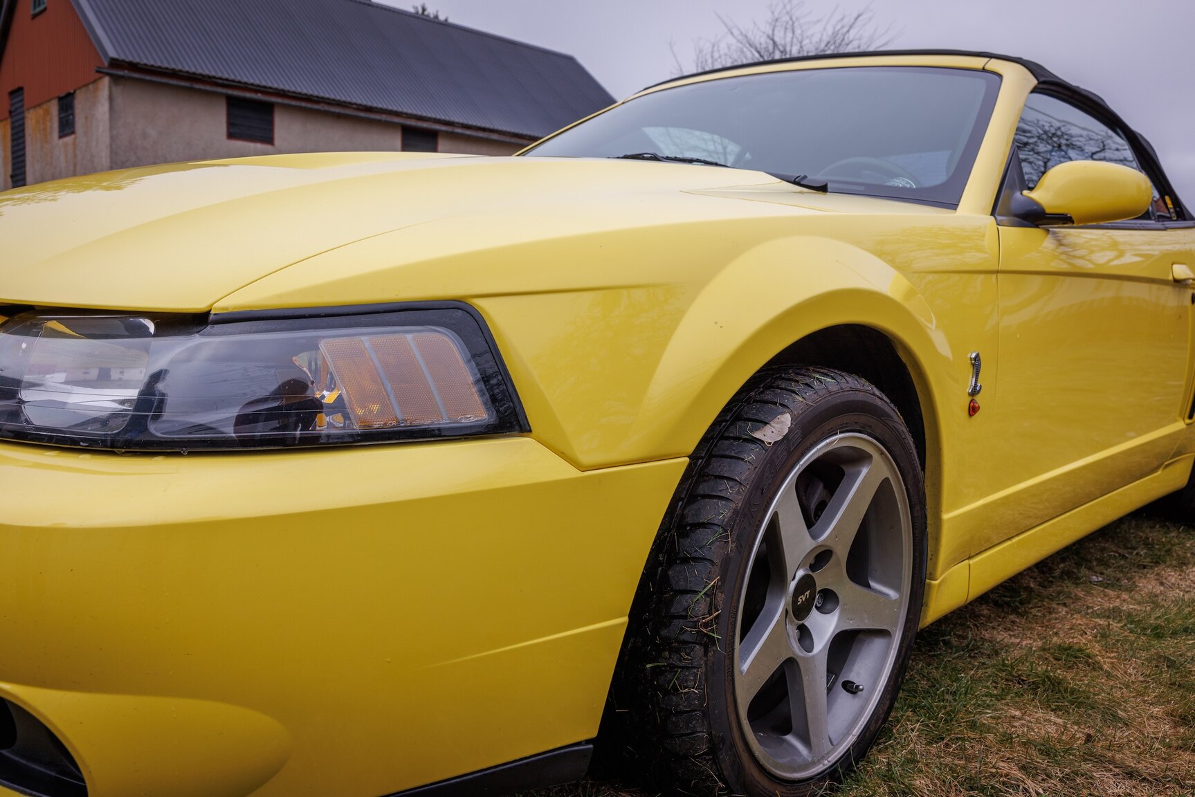 Aussenfoto 2003 Ford Mustang SVT Cobra