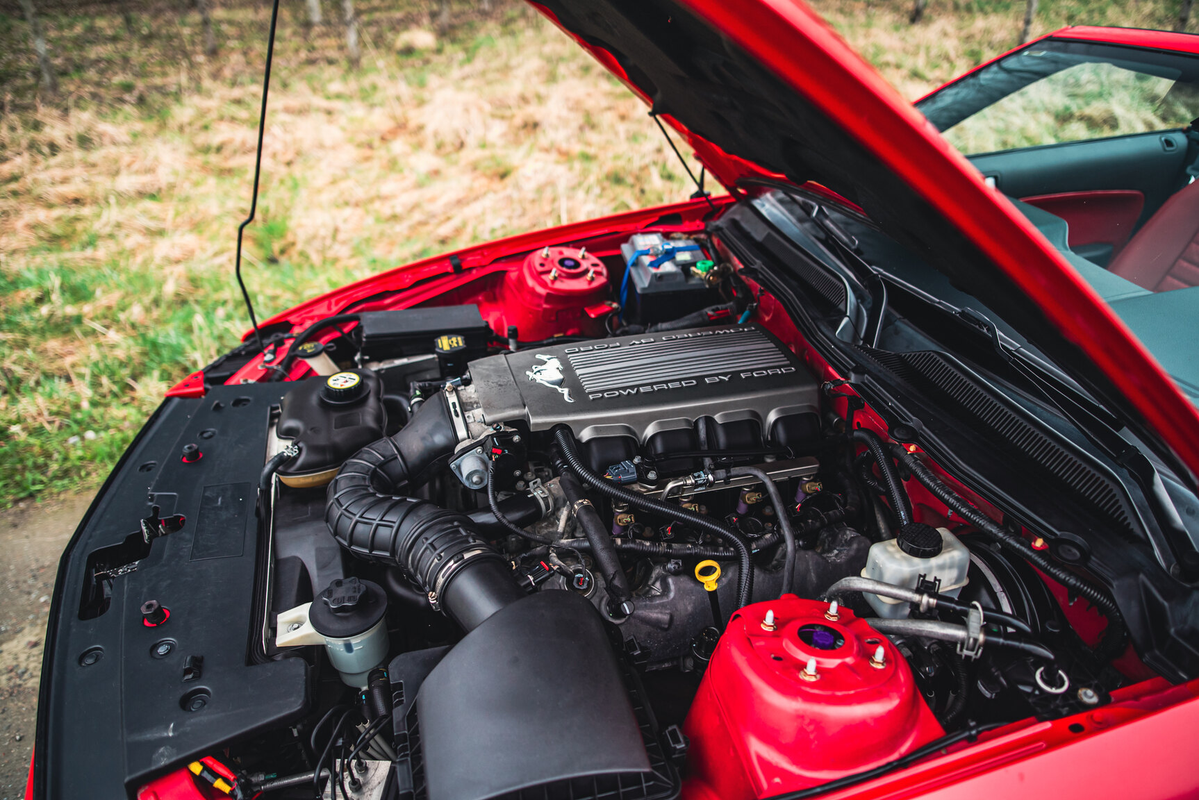 Image of 2009 Ford Mustang V8 GT Convertible mechanics