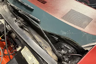 #<Image:0x00007f543ba54600>