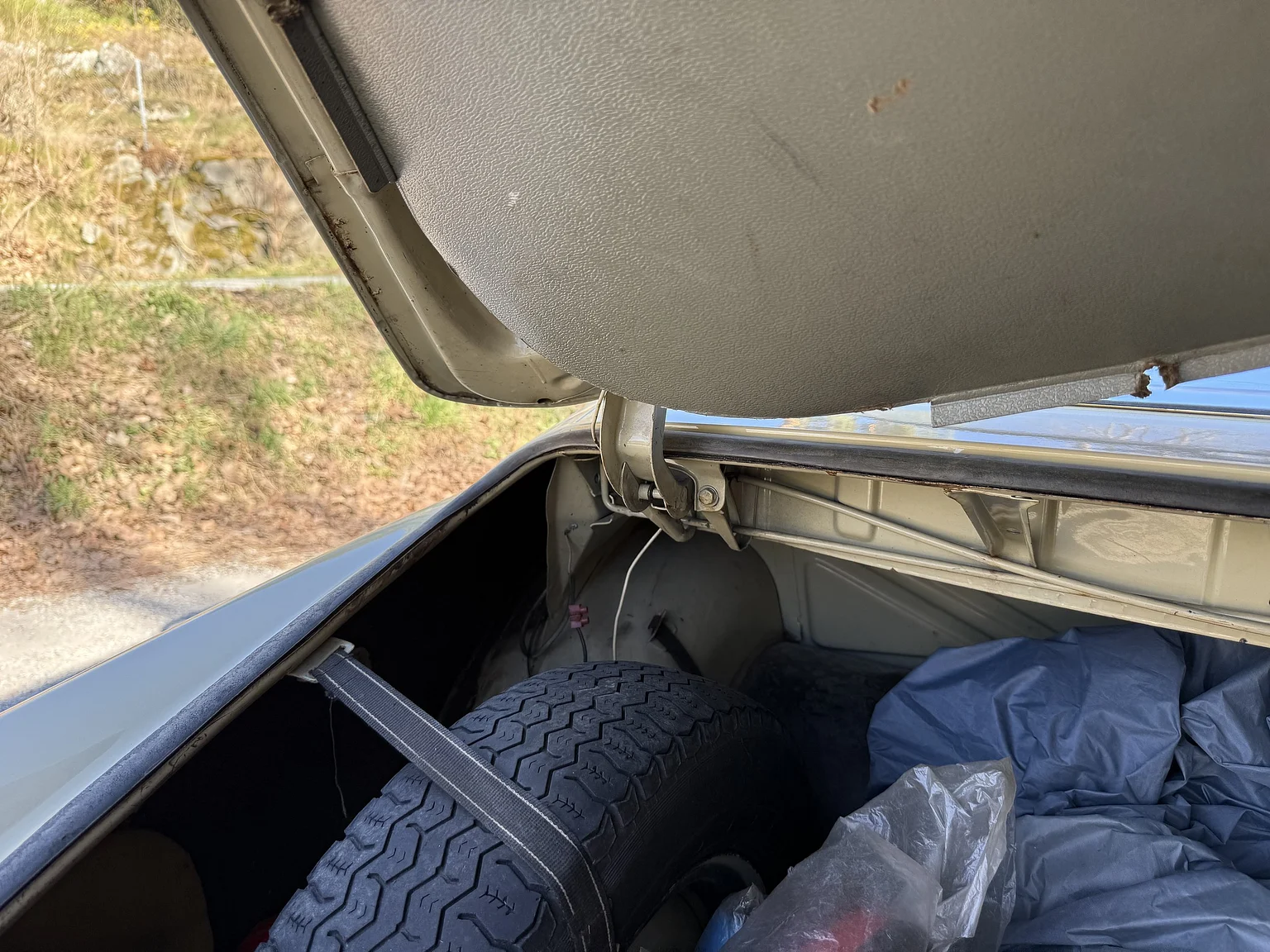 Interior image of 1964 Volvo Amazon (45)