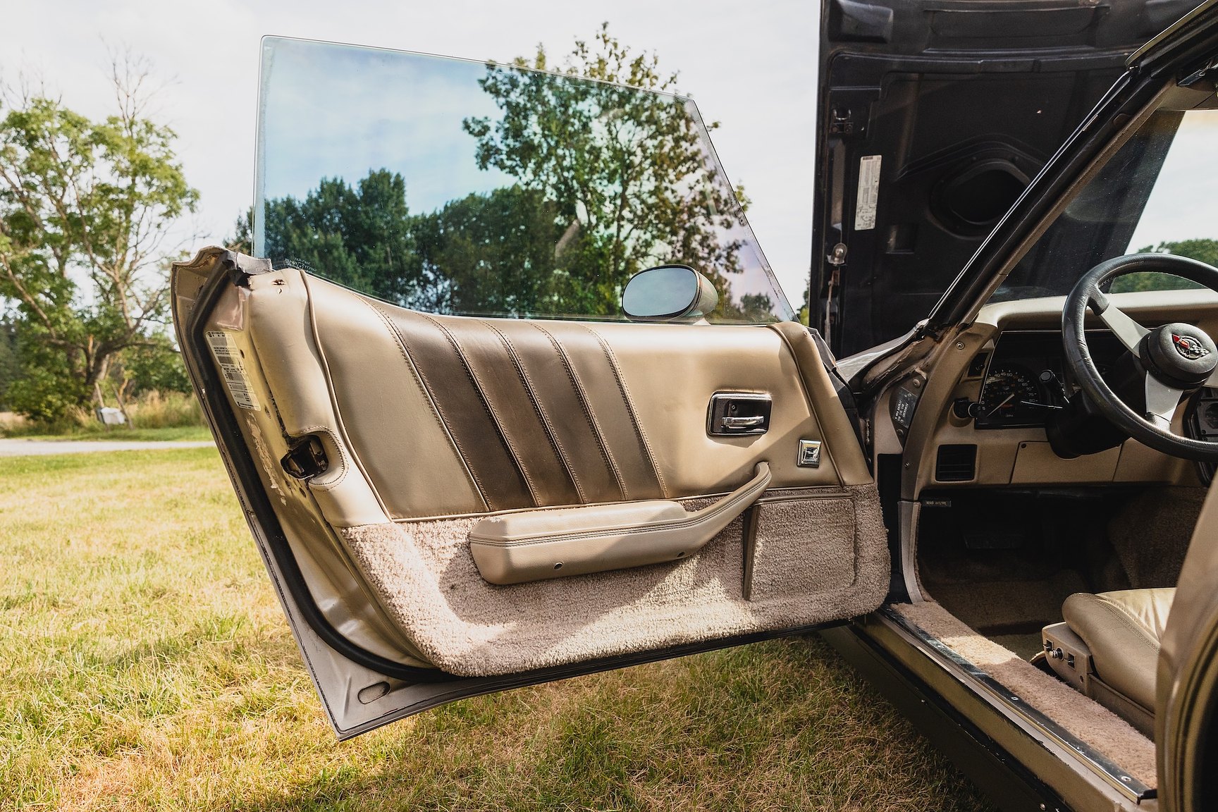 Interior image of 1982 Chevrolet Corvette Collector Edition
