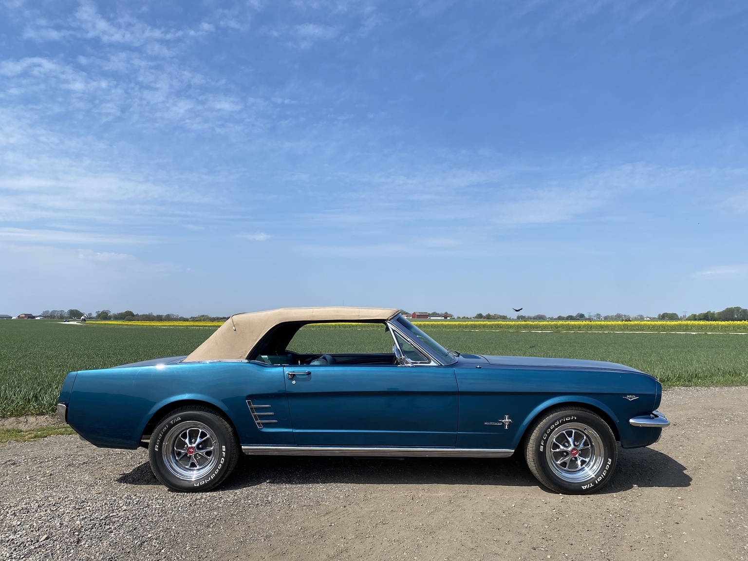 Aussenfoto 1966 Ford Mustang 289 Cabriolet (14)