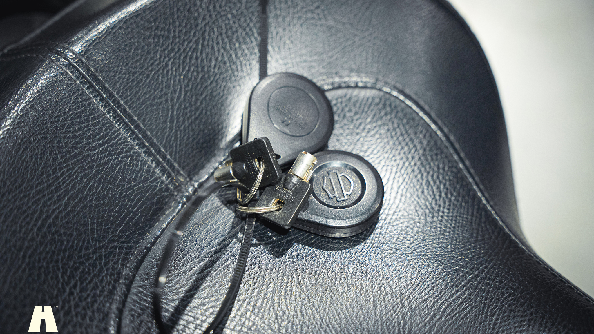 Aussenfoto 2008 Harley-Davidson Cross Bones Twin Cam (75)