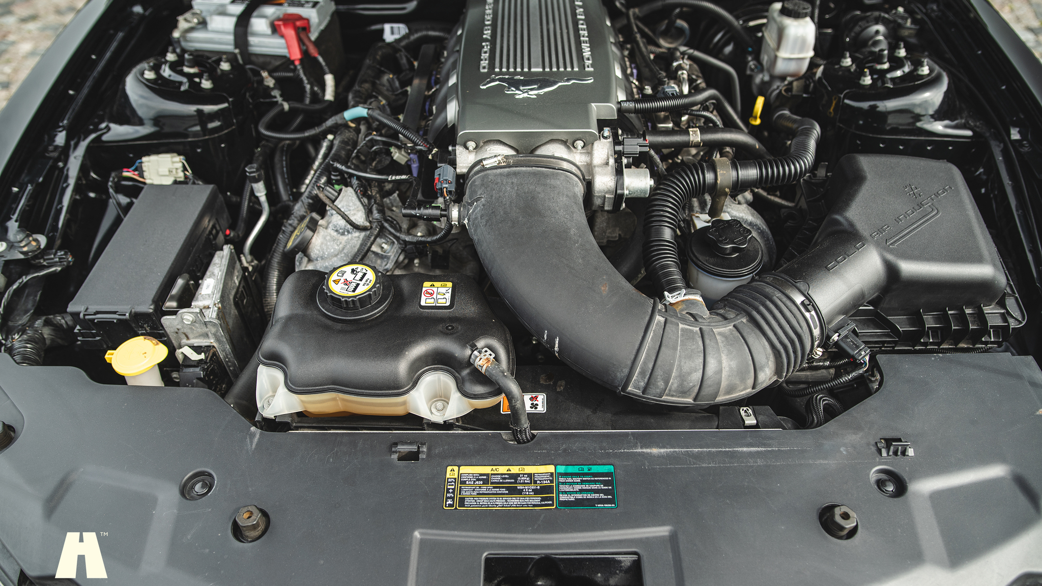 Image of 2010 Ford Mustang GT  mechanics