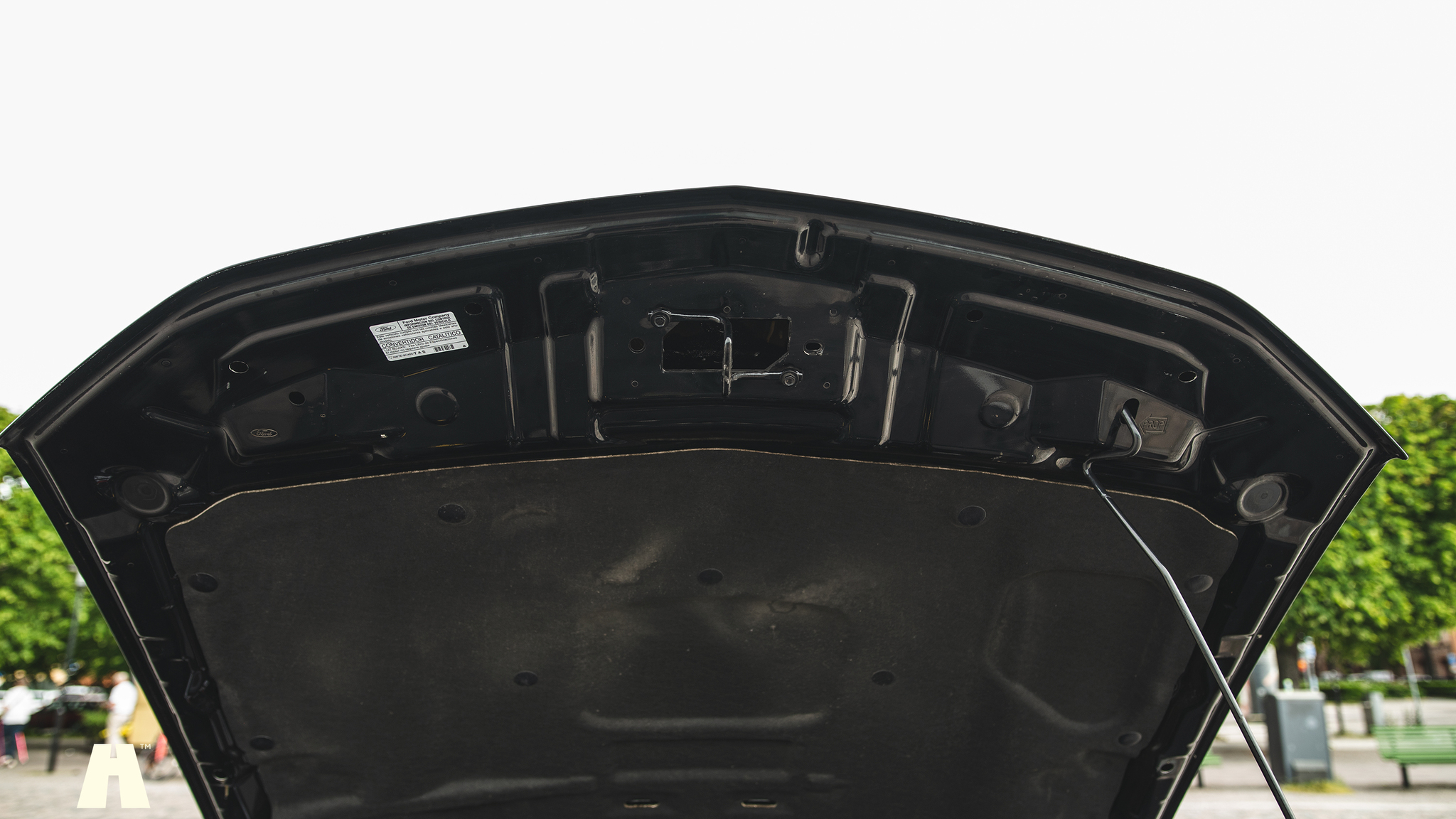 Image of 2010 Ford Mustang GT  mechanics