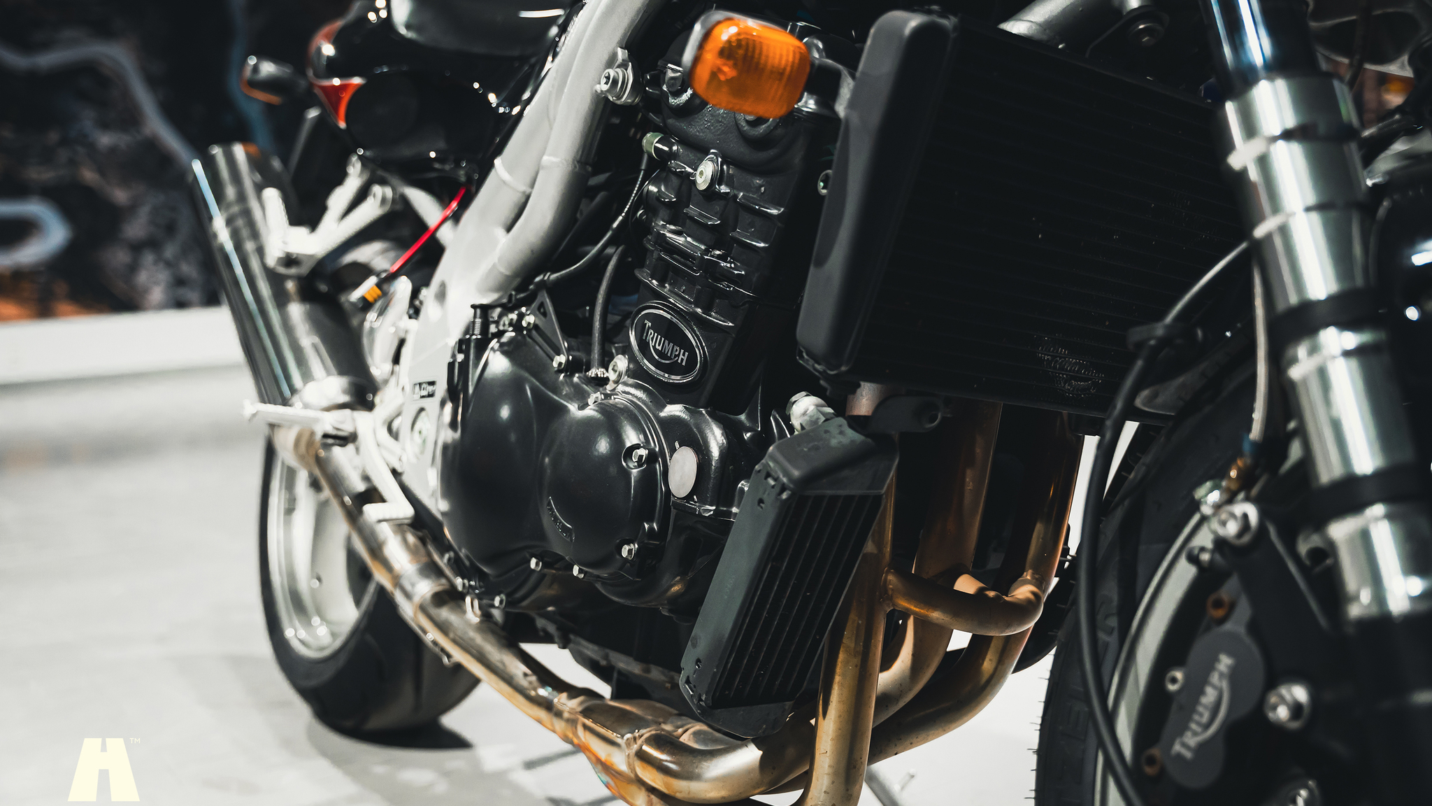 2001 Triumph Speed Triple (5), Mekanik