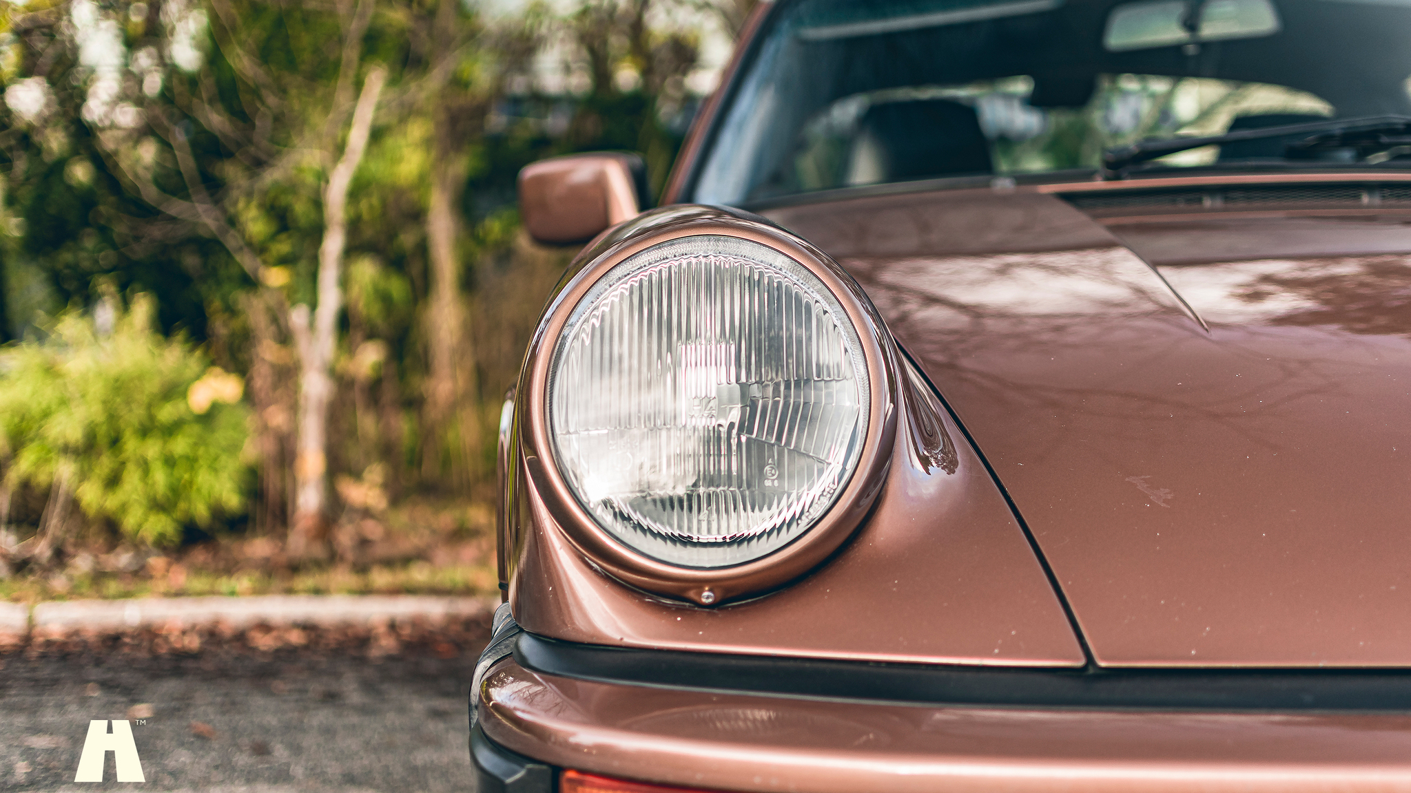 Aussenfoto 1989 Porsche 911 Carrera 3.2 Targa (12)