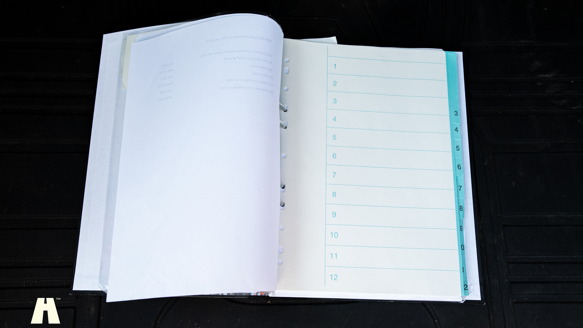 Documentation for 1966 Volvo P1800 S (7)