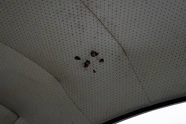 #<Image:0x00007f91f59d9110>