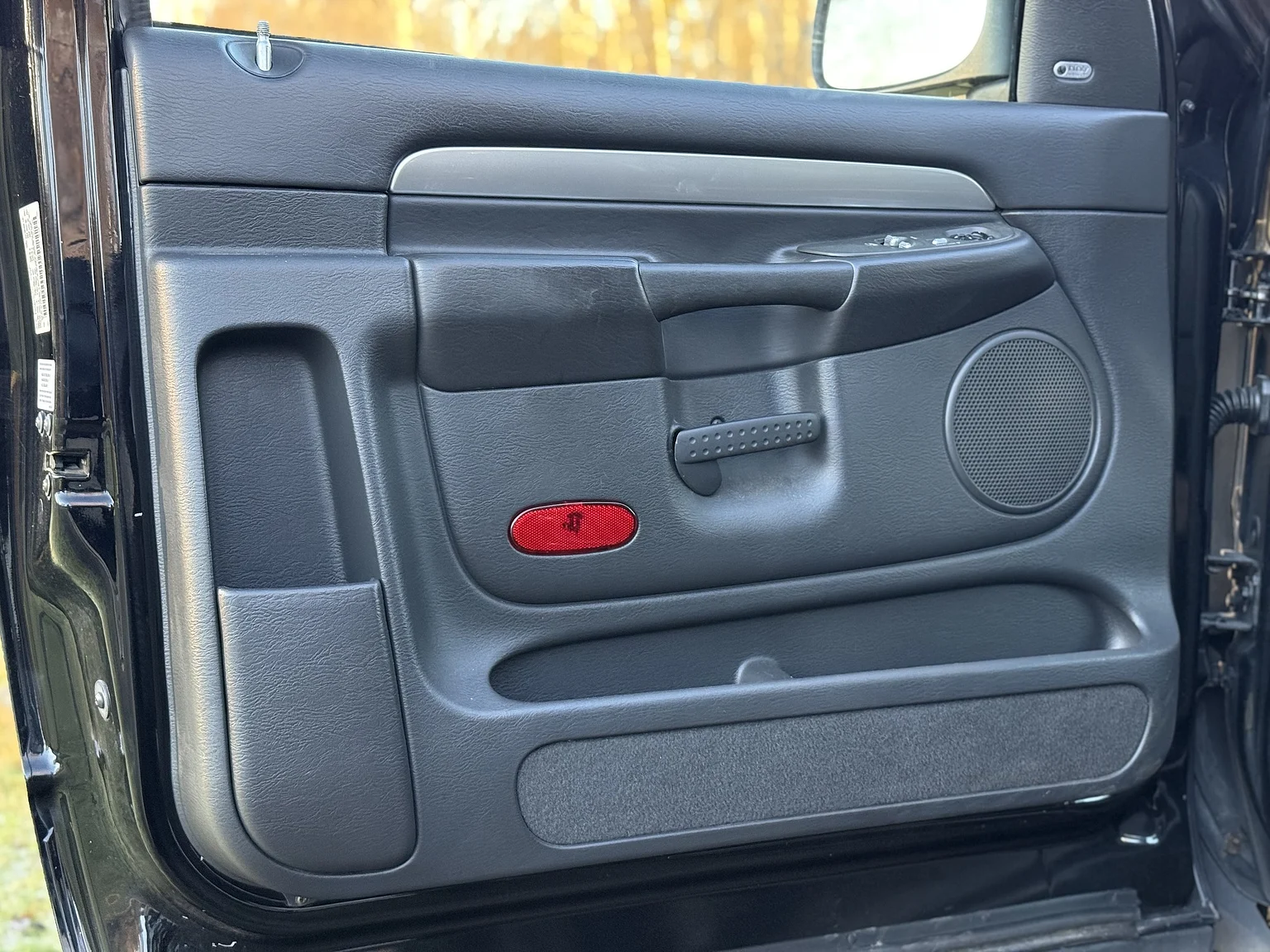 Innenraumfoto von 2004 Dodge Ram SRT-10 (15)