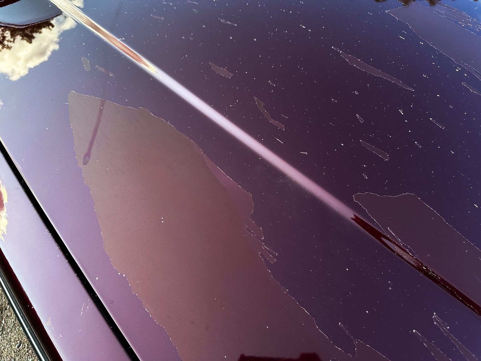 Aussenfoto 1993 Volvo 245 GL Classic "No Reserve Auction"