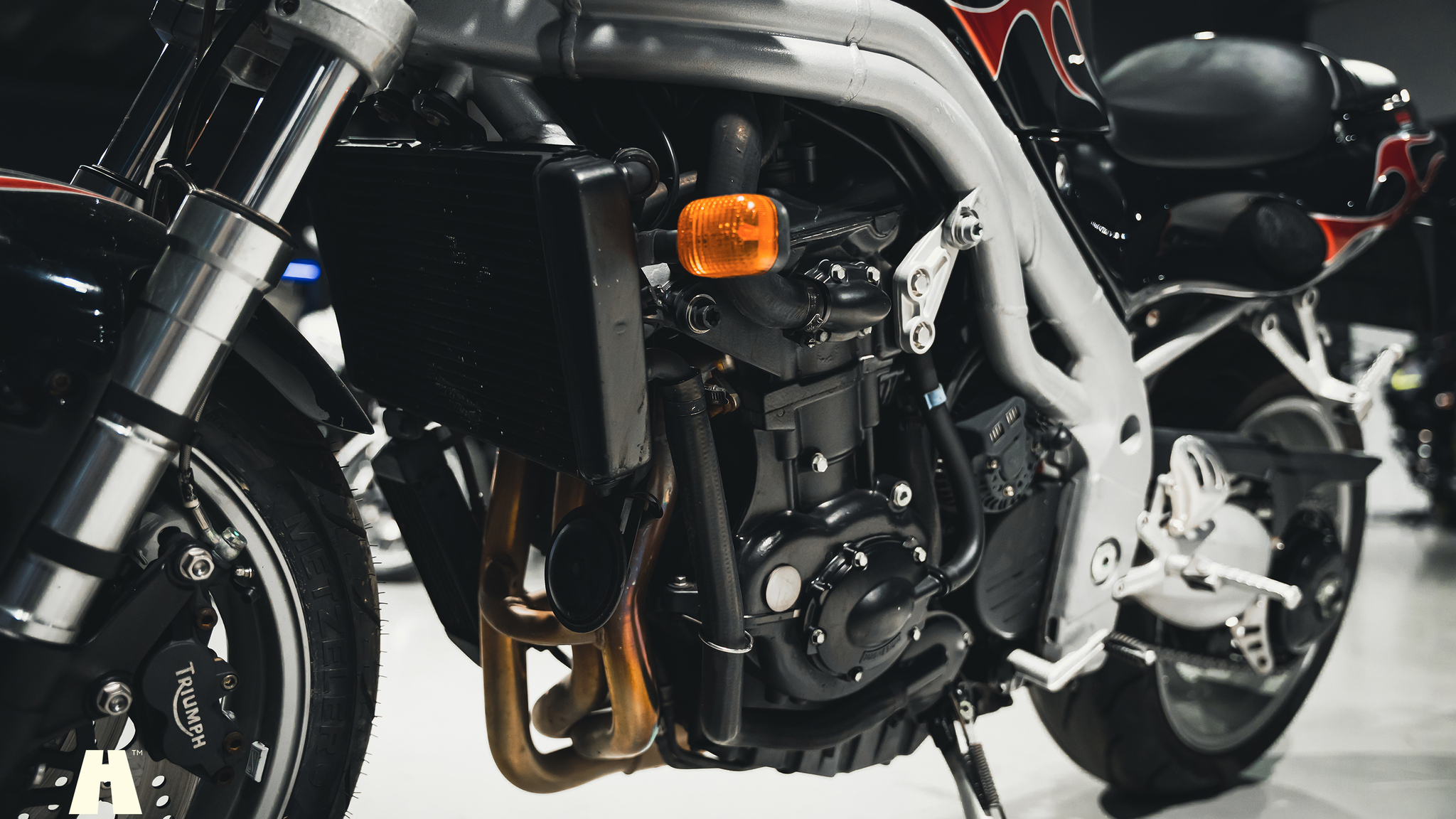 2001 Triumph Speed Triple (10), Mekanik