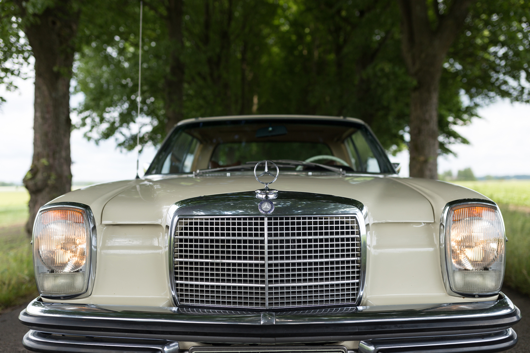 Exteriörbild på 1971 Mercedes 250 C