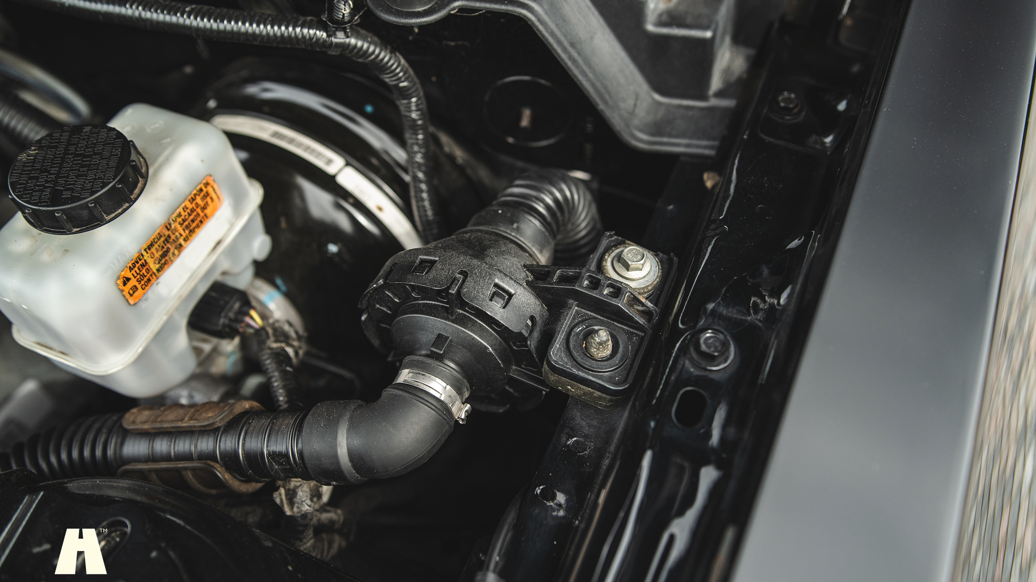 Image of 2010 Ford Mustang GT  mechanics
