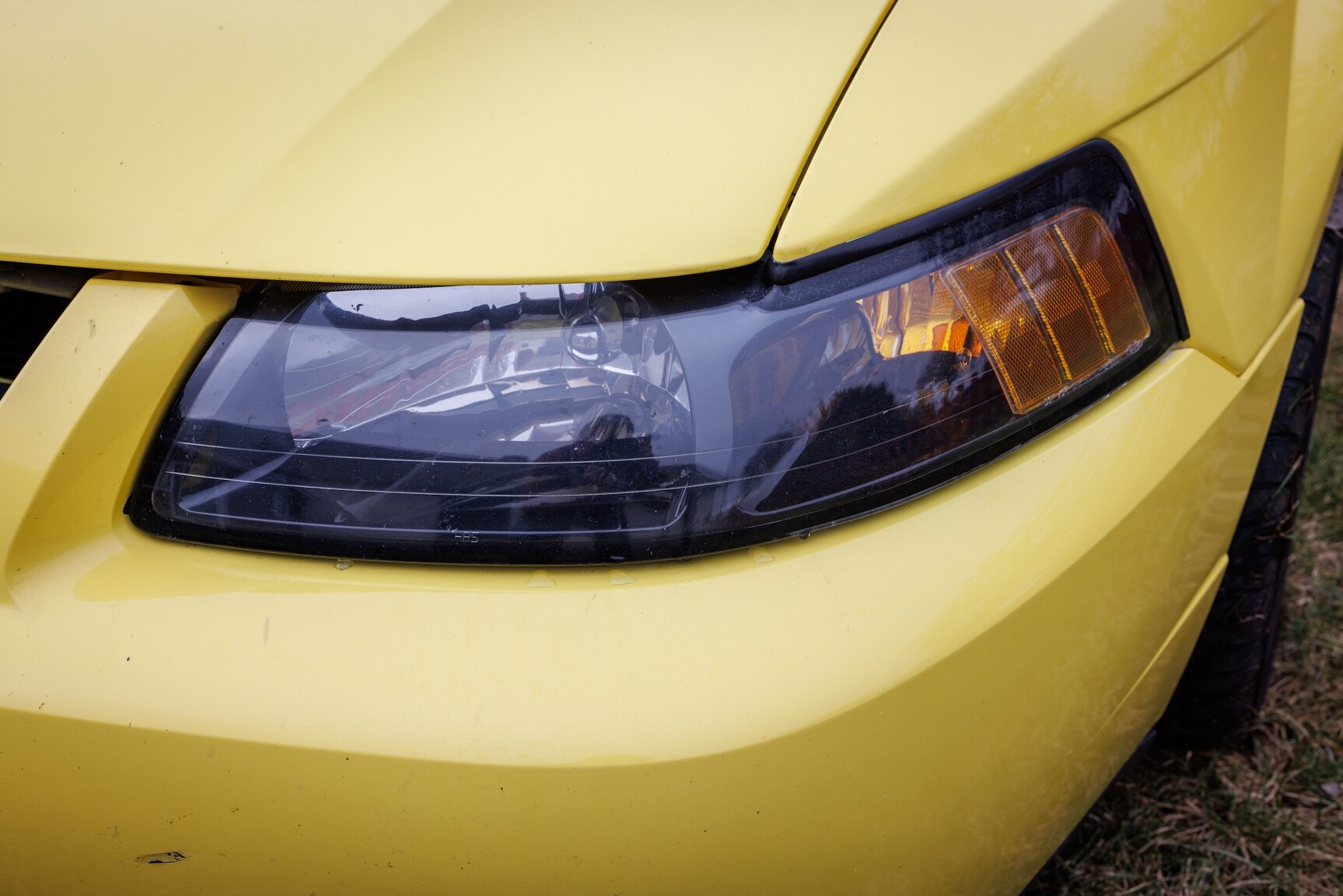 Exterior image of 2003 Ford Mustang SVT Cobra