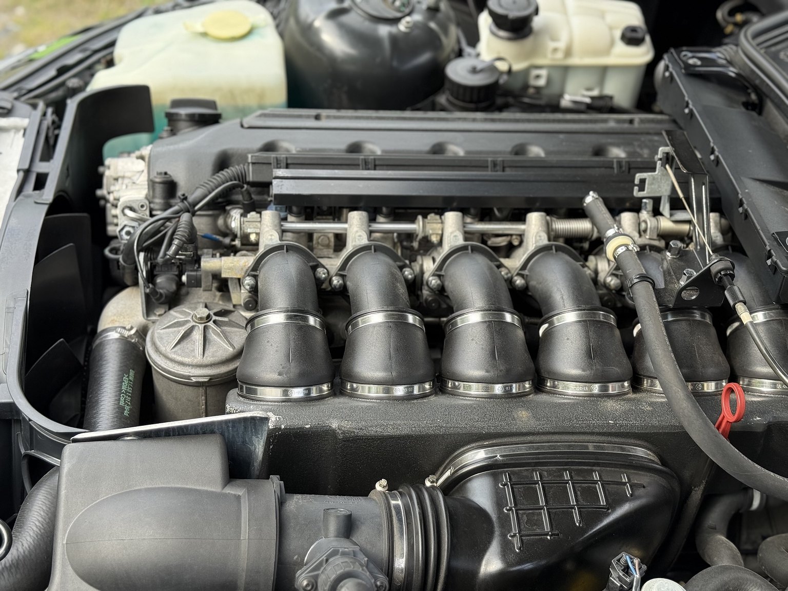 Image of 1999 BMW Z3 M Coupé mechanics