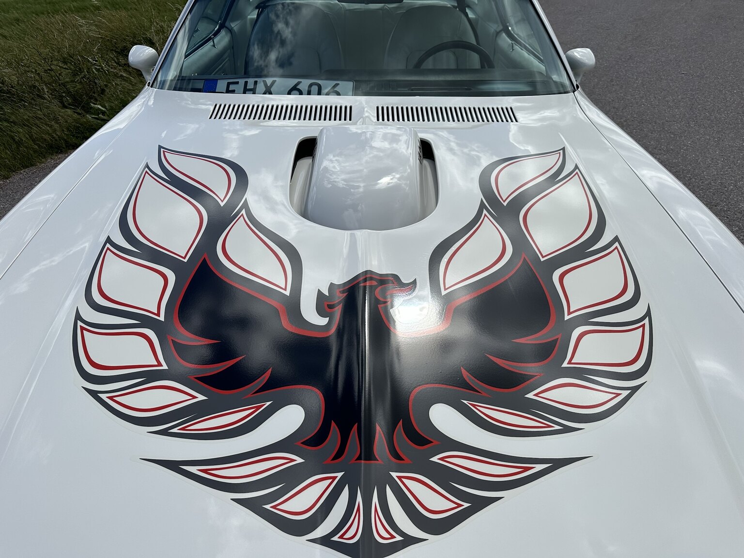 Exterior image of 1976 Pontiac Firebird Trans Am