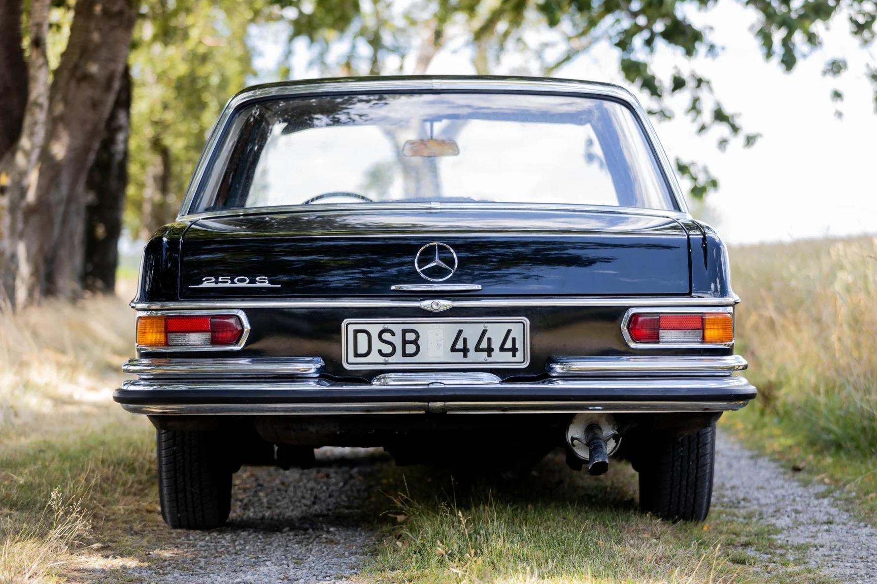 Aussenfoto 1967 Mercedes-Benz 250 S 250 s (14)