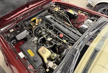 #<Image:0x00007f669ad4c940>