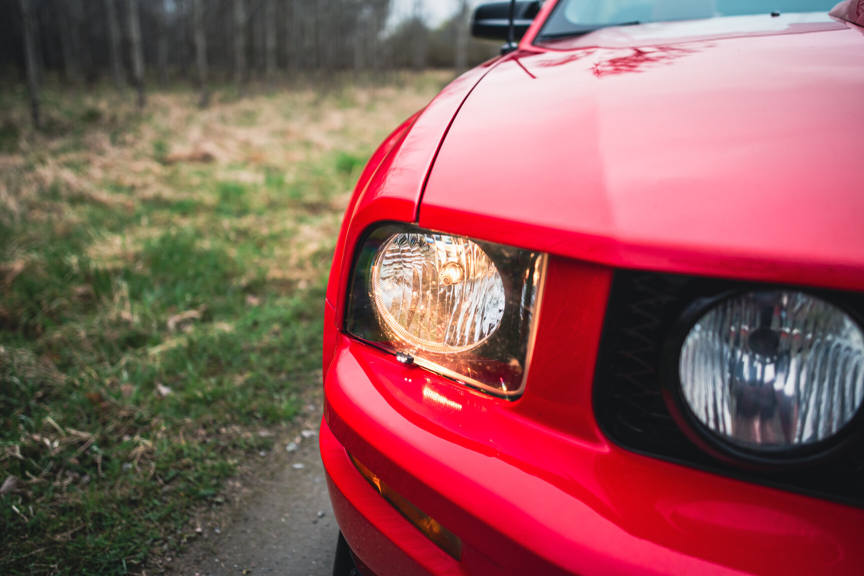 Exterior image of 2009 Ford Mustang V8 GT Convertible