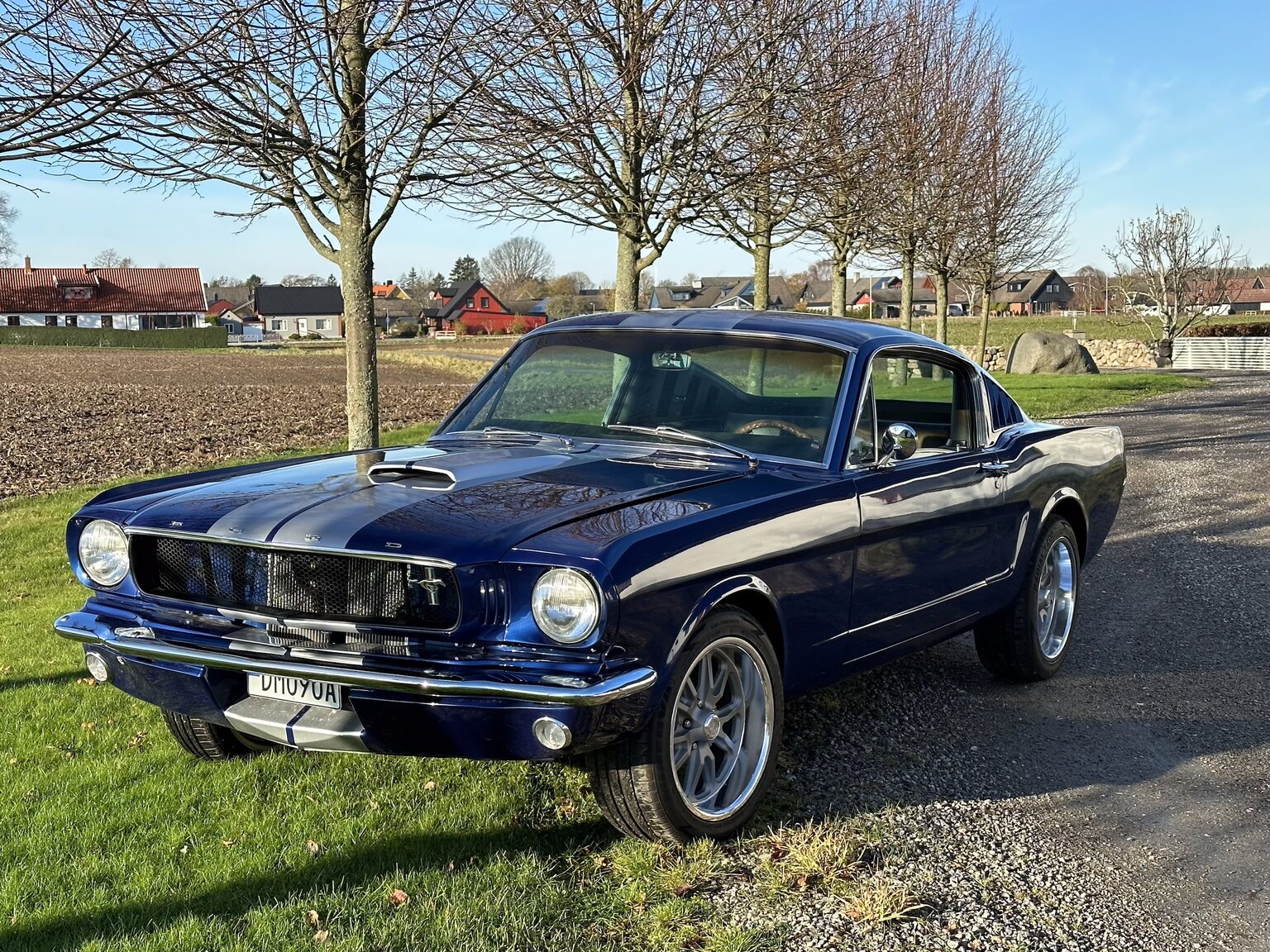 Aussenfoto 1965 Ford Mustang Fastback 351W (65)