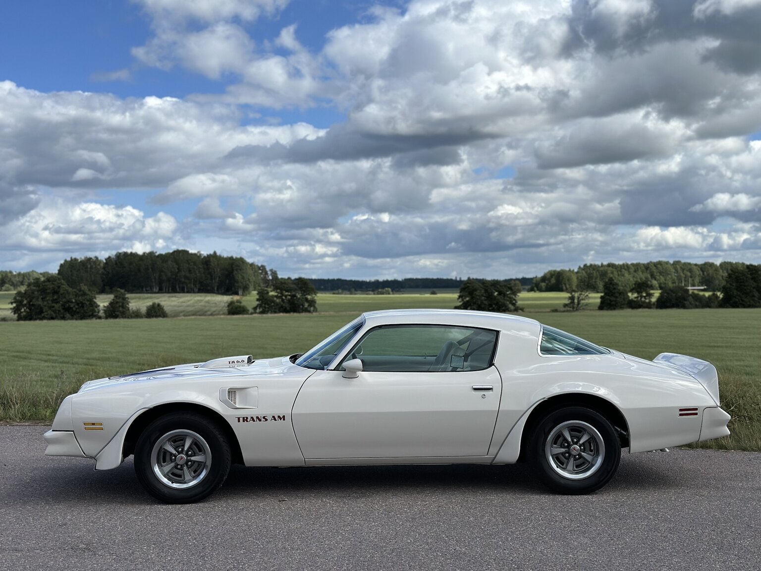 Exterior image of 1976 Pontiac Firebird Trans Am