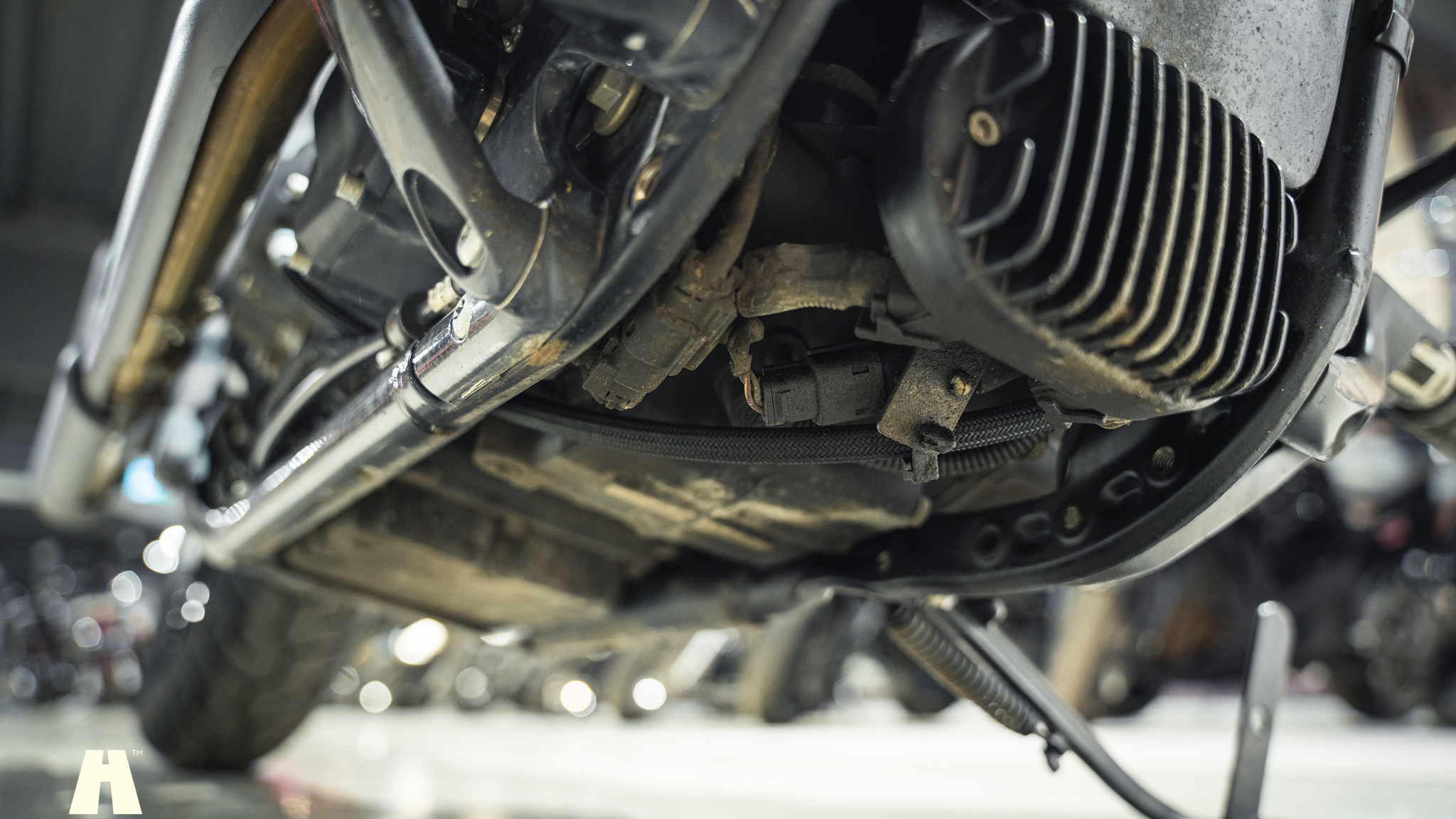 Image of 2019 Harley-Davidson Street BOB mechanics