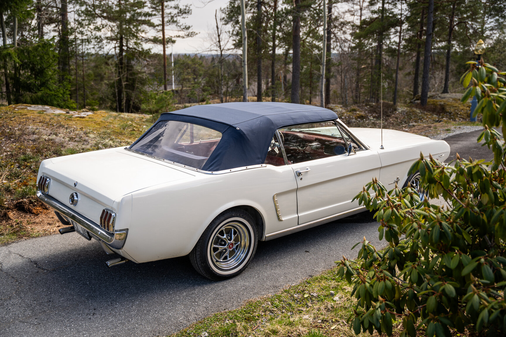Aussenfoto 1965 Ford Mustang Cabriolet (3)