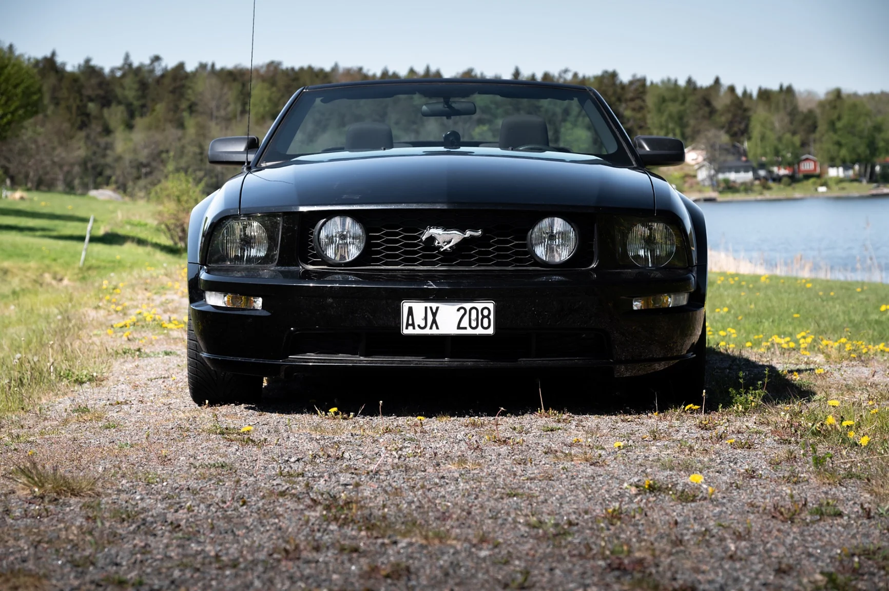 Aussenfoto 2006 Ford Mustang Convertible (6)