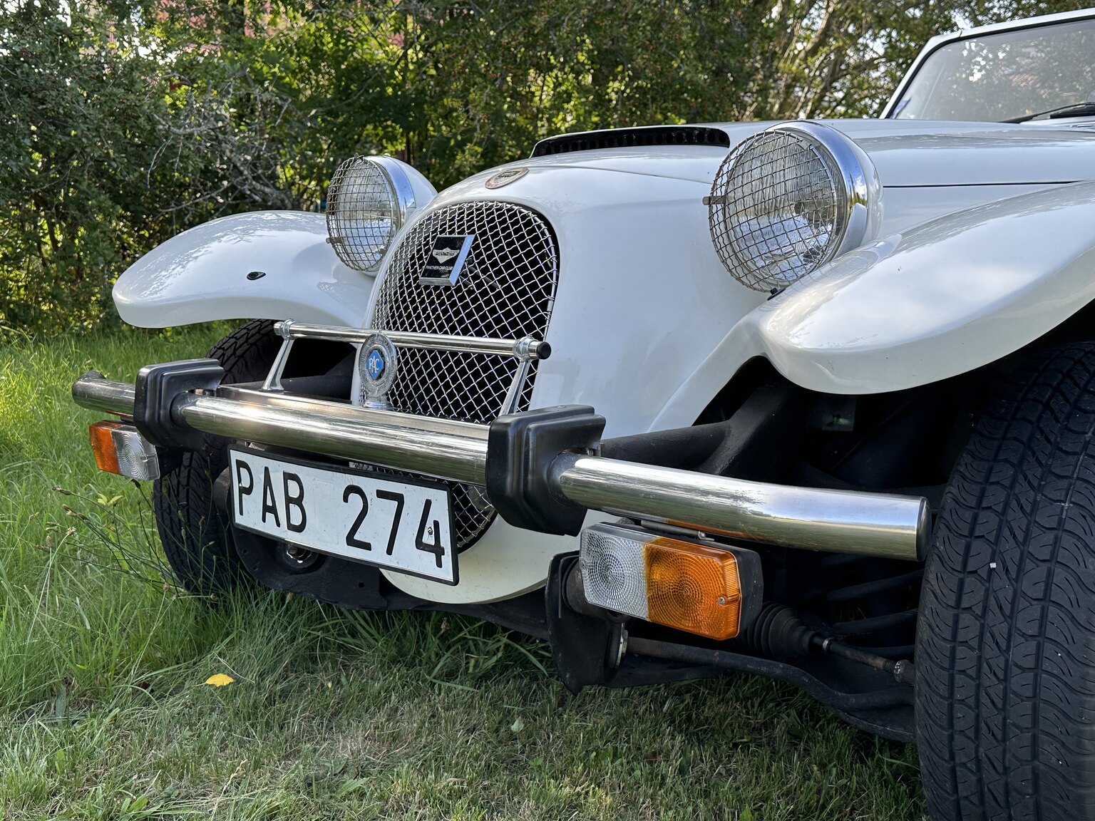 Aussenfoto 1988 Panther Kallista