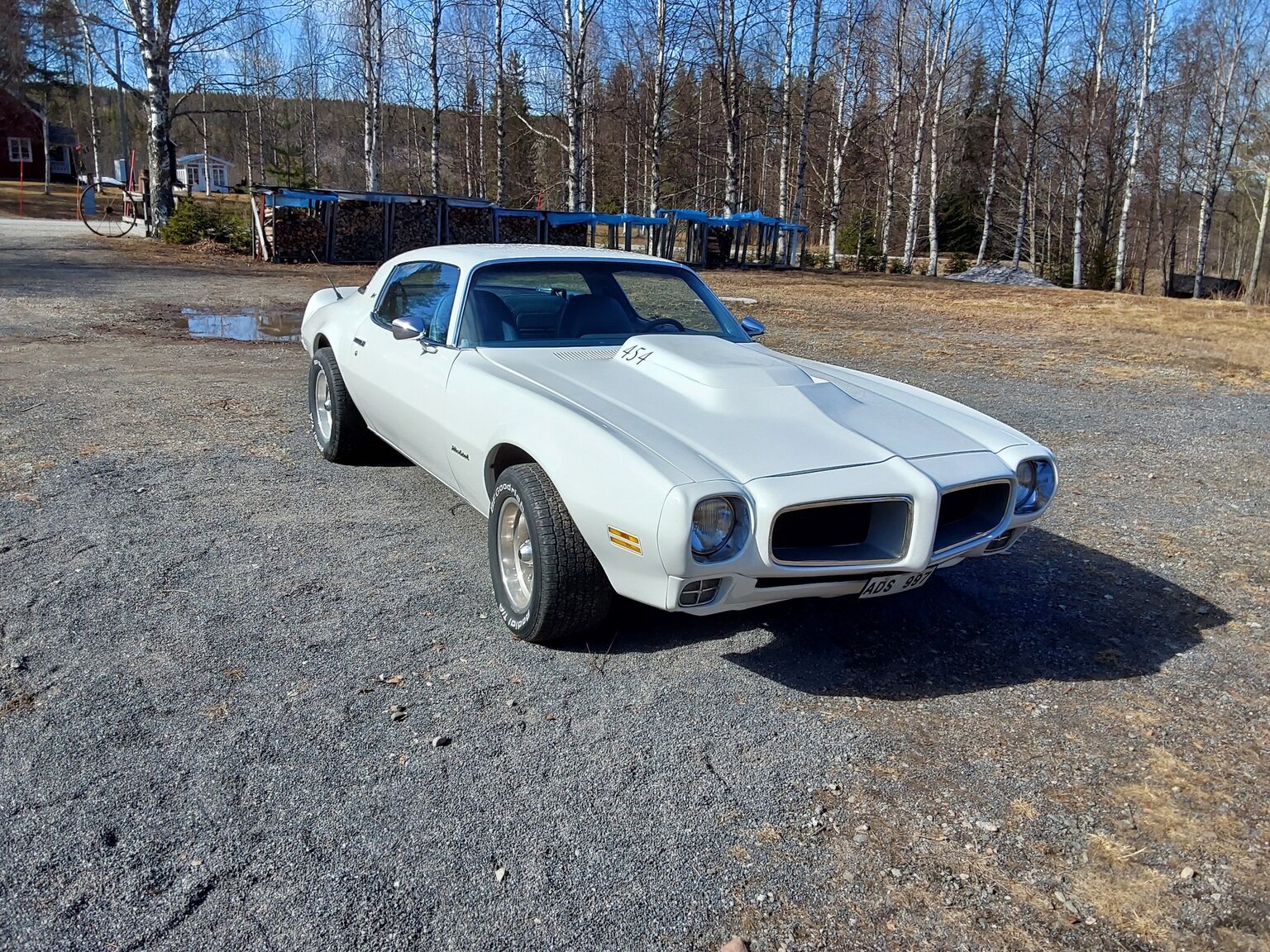 Exterior image of 1975 Pontiac Firebird Esprit 