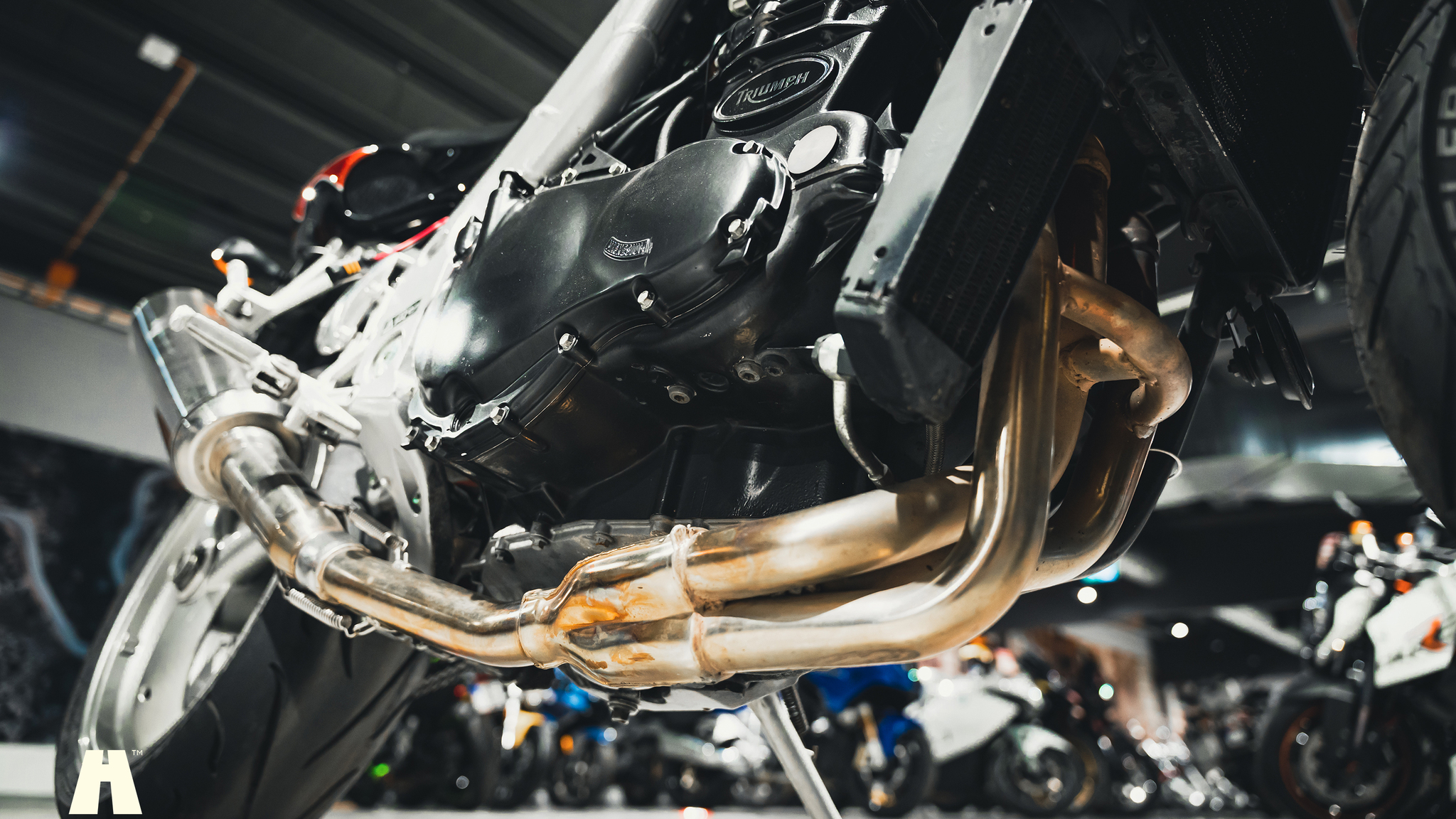 2001 Triumph Speed Triple (14), Mekanik