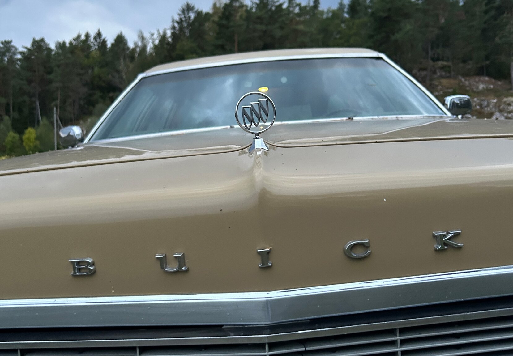 Exteriörbild på 1973 Buick Estate Wagon