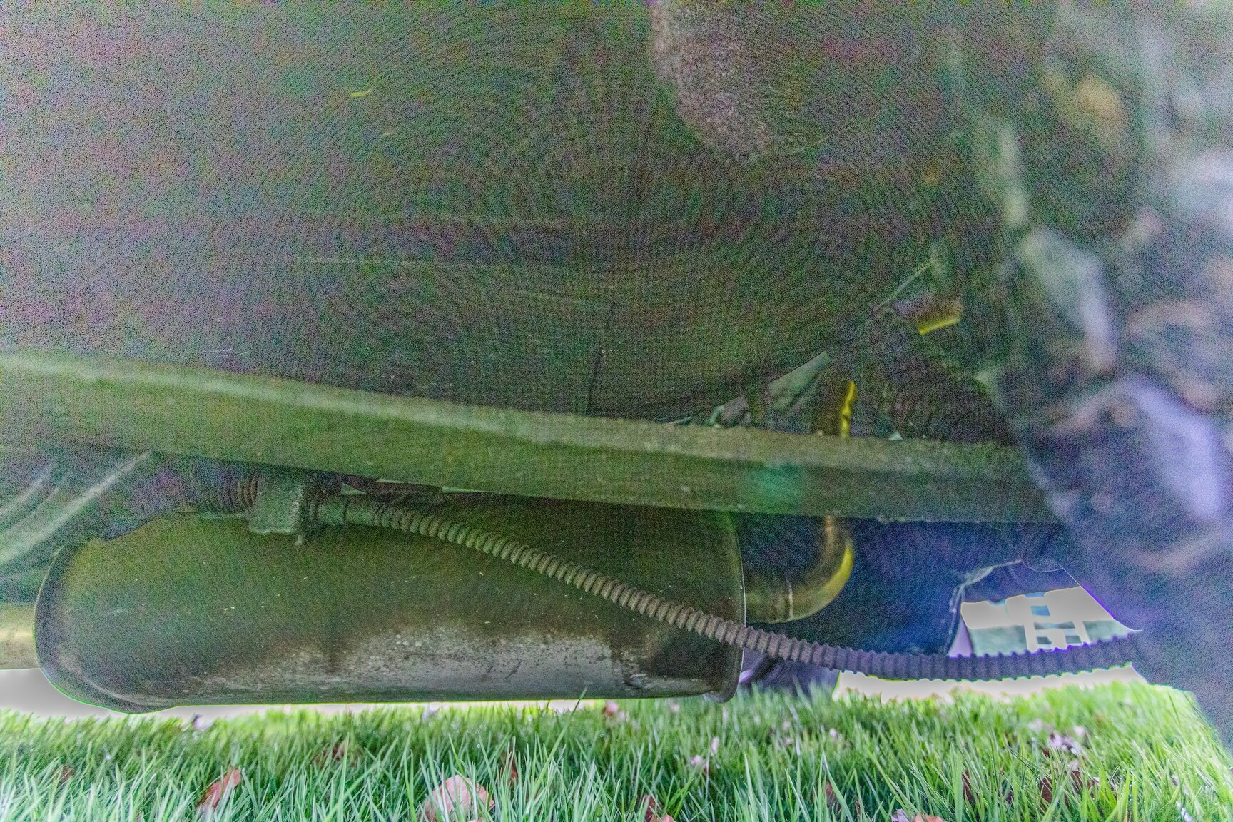 Image of 1965 Chevrolet Nova SS 3.2 mechanics (14)