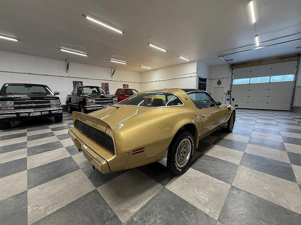Bild von 1979 Pontiac Firebird (10)