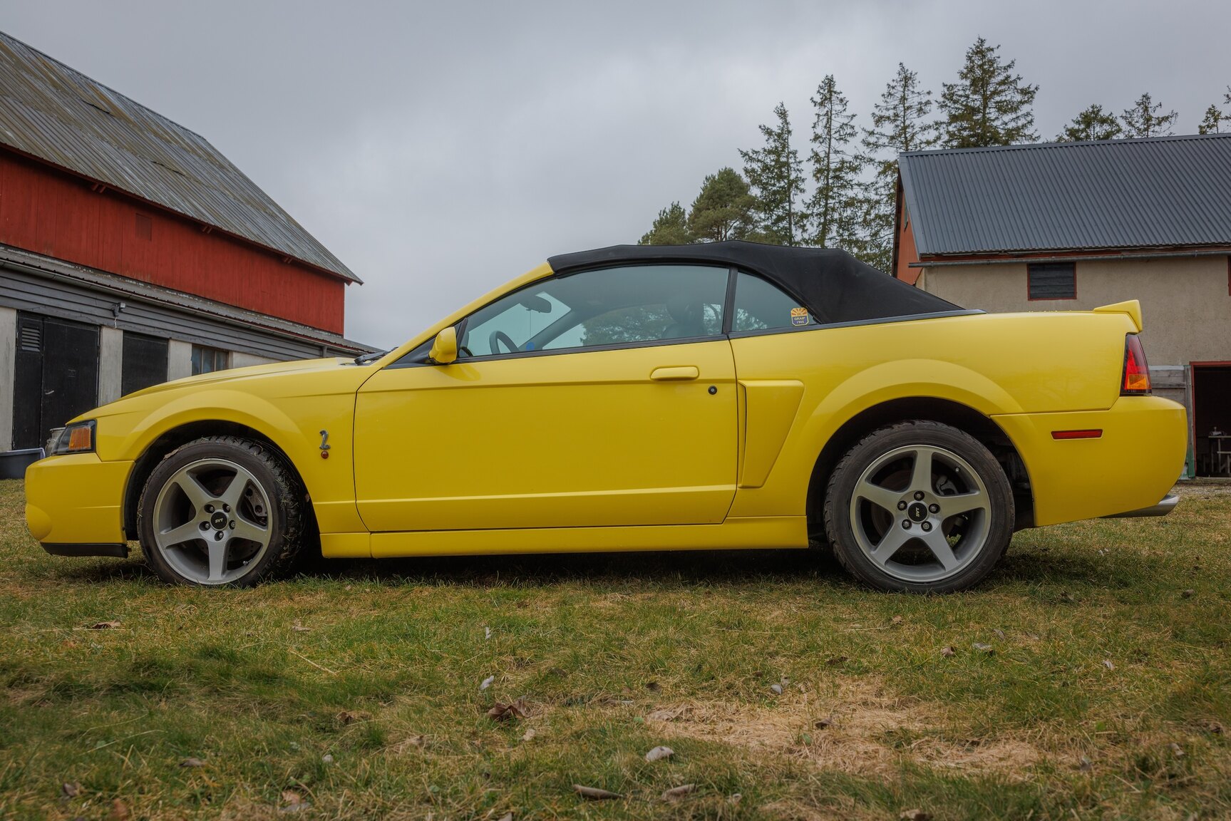 Exteriörbild på 2003 Ford Mustang SVT Cobra