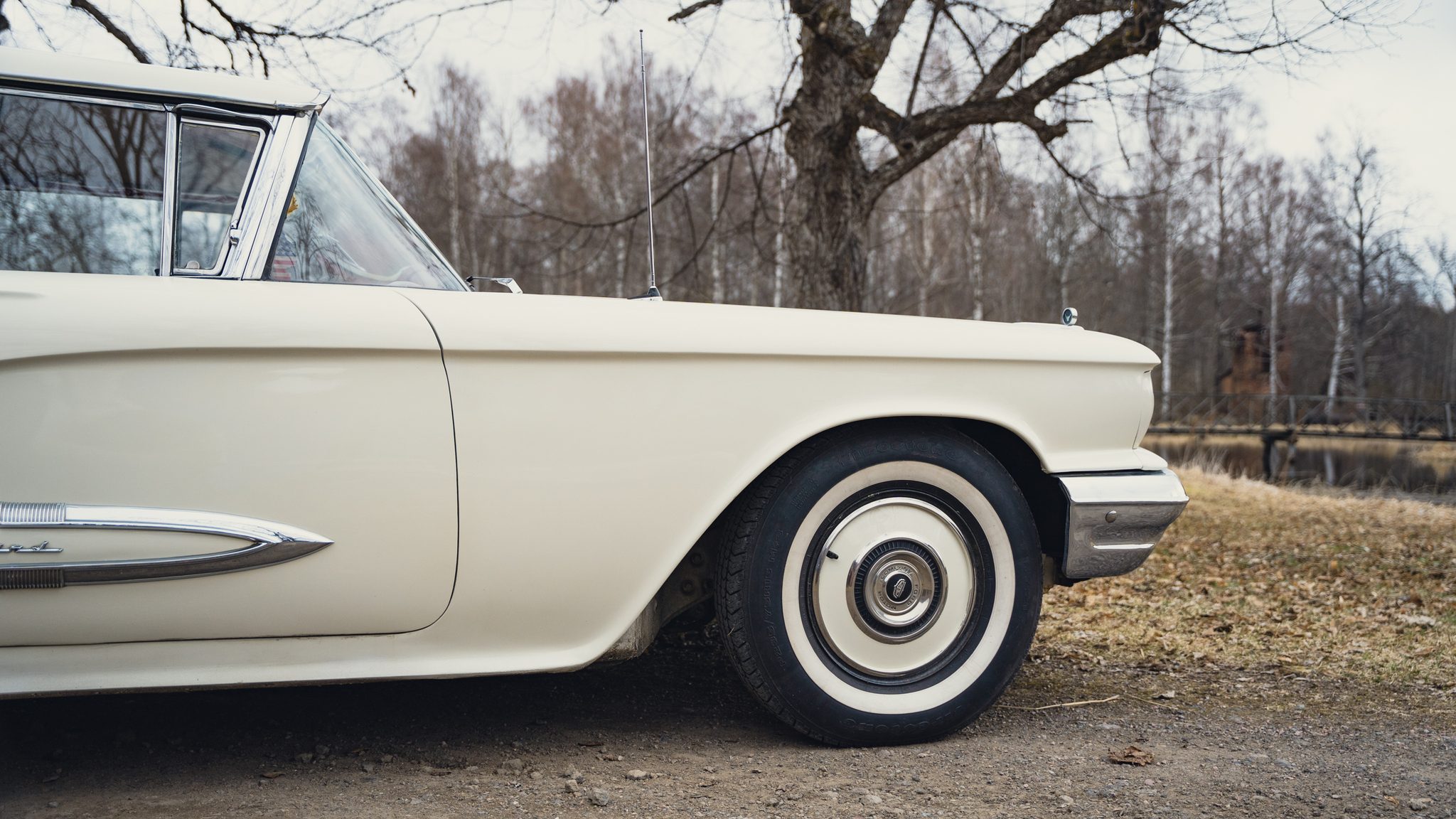 Aussenfoto 1959 Ford Thunderbird hardtop (22)