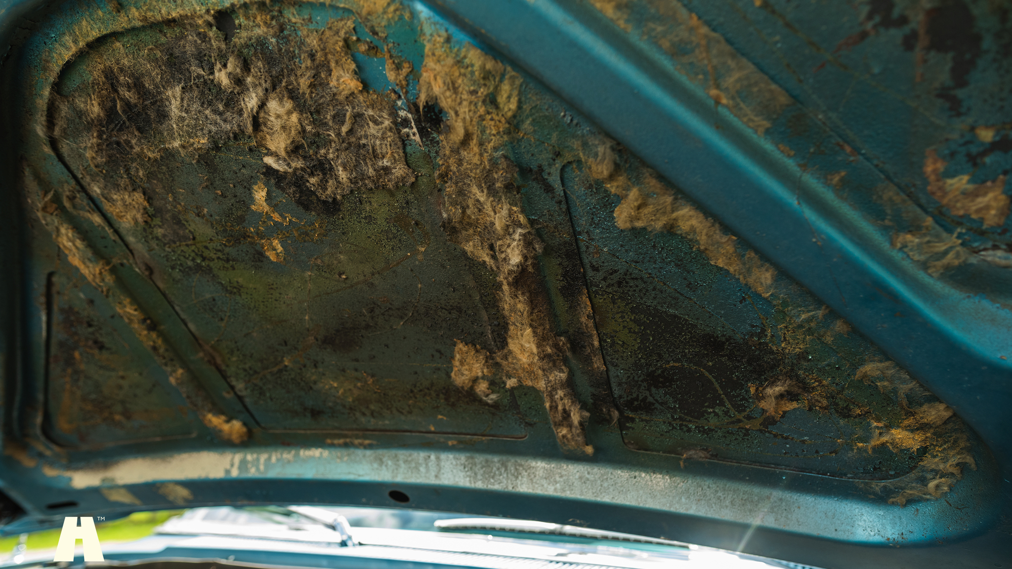 1963 Mercury Monterey Custom 4-door (12), Mekanik