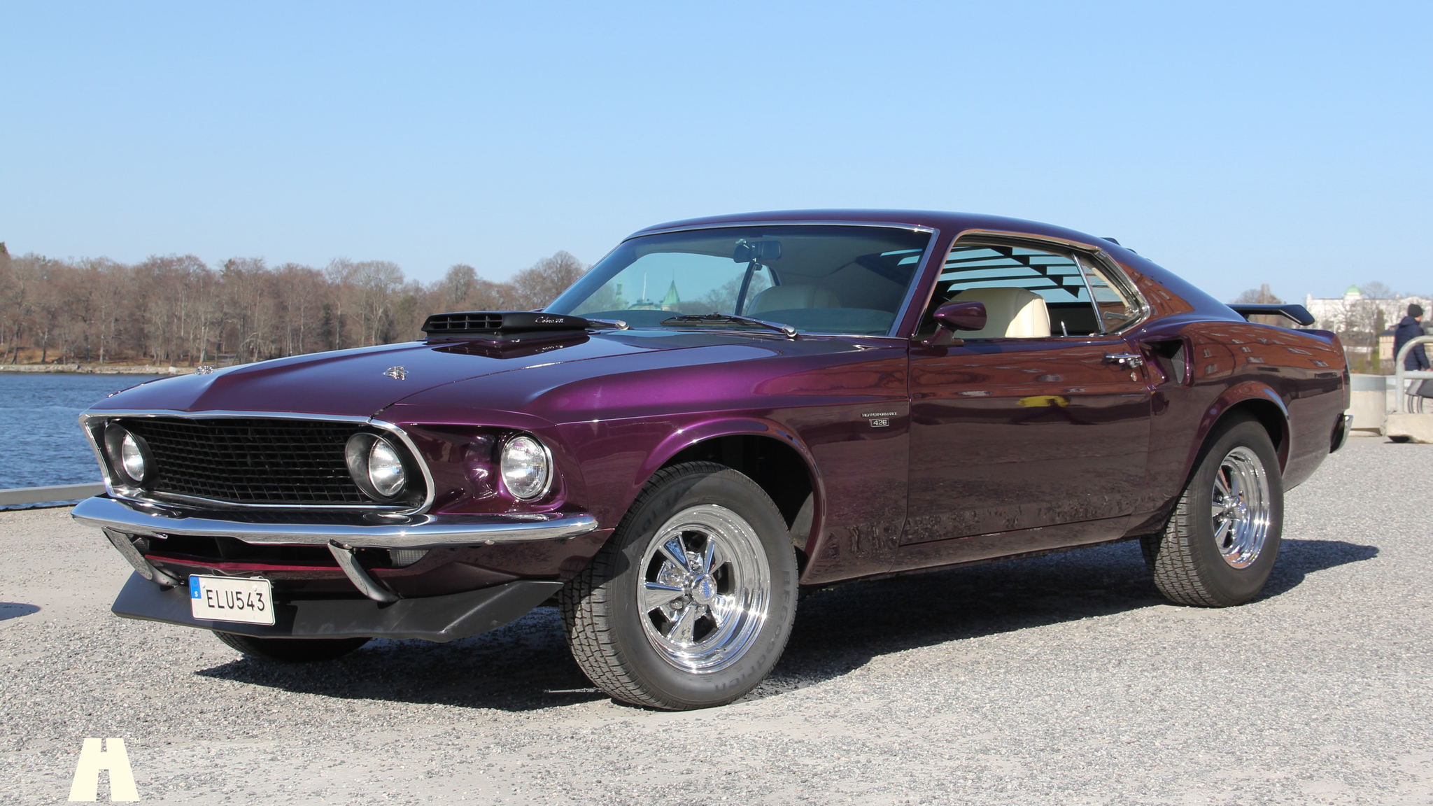 Aussenfoto 1969 Ford Mustang Mach 1 (12)