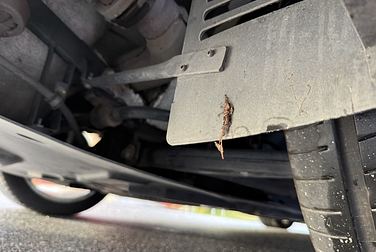 #<Image:0x00007f1ba0e12e50>