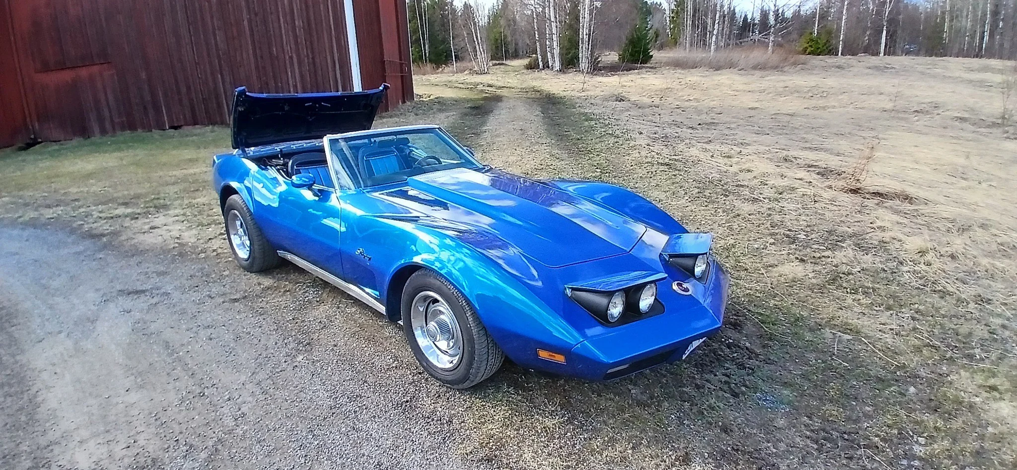 Aussenfoto 1974 Chevrolet Corvette Stingray Convertible C3 (5)