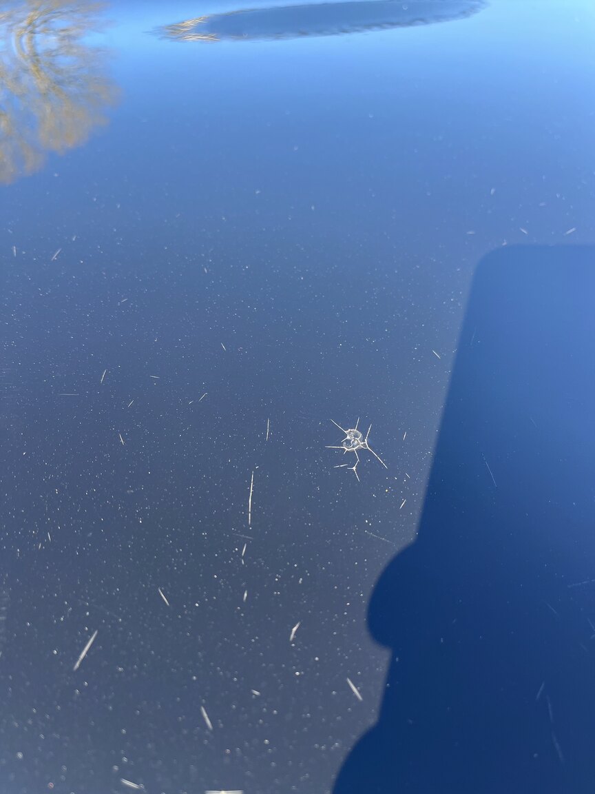 Exterior image of 1998 Alfa Romeo GTV