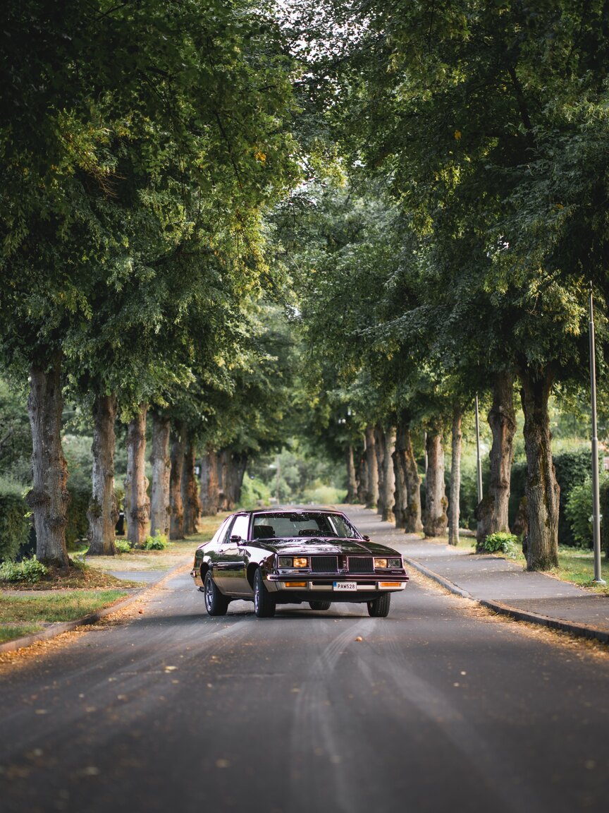 Exteriörbild på 1986 Oldsmobile Cutlass 442